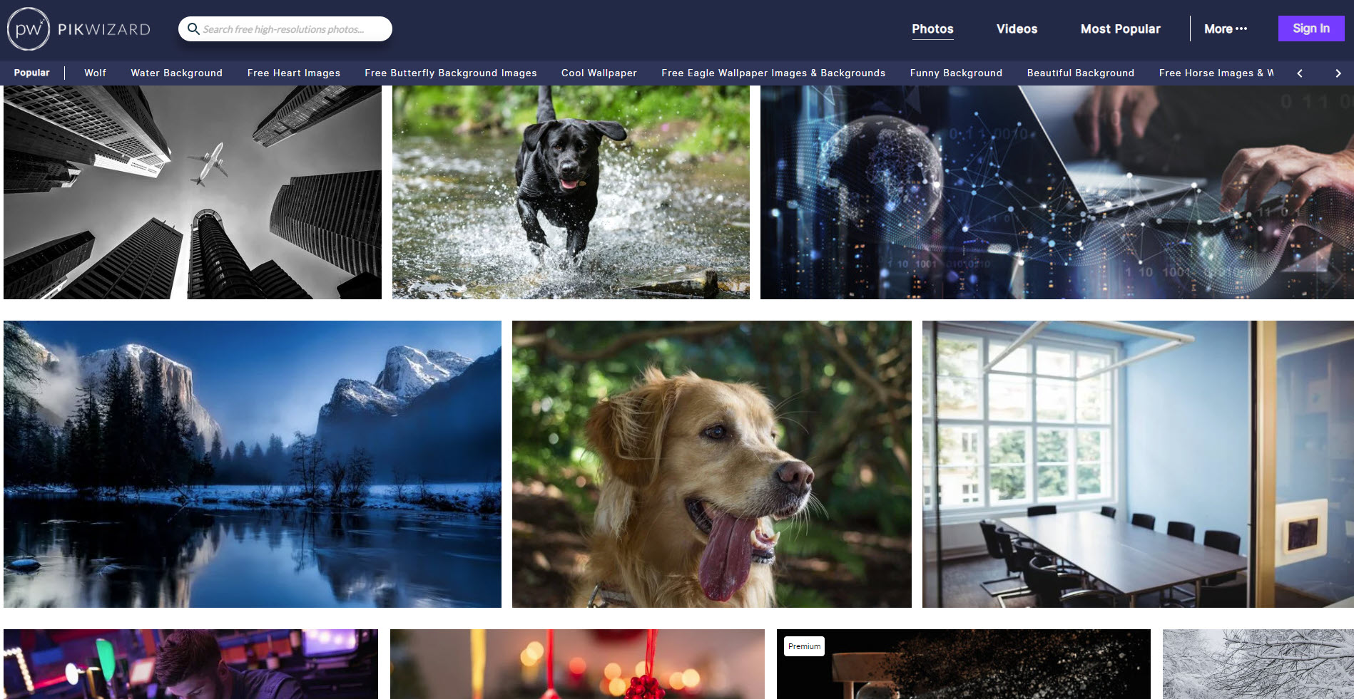 SVG Tuts | Free Stock Photo Site | Pikwizard