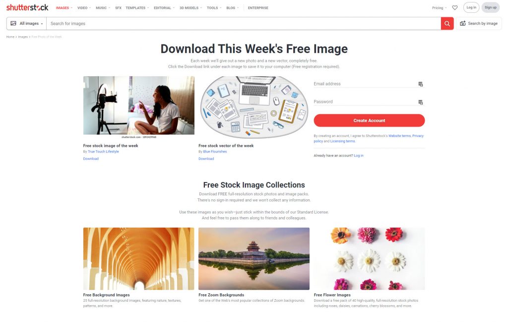 Shutterstock Shutterstock